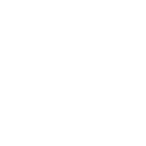 FSW Logo White